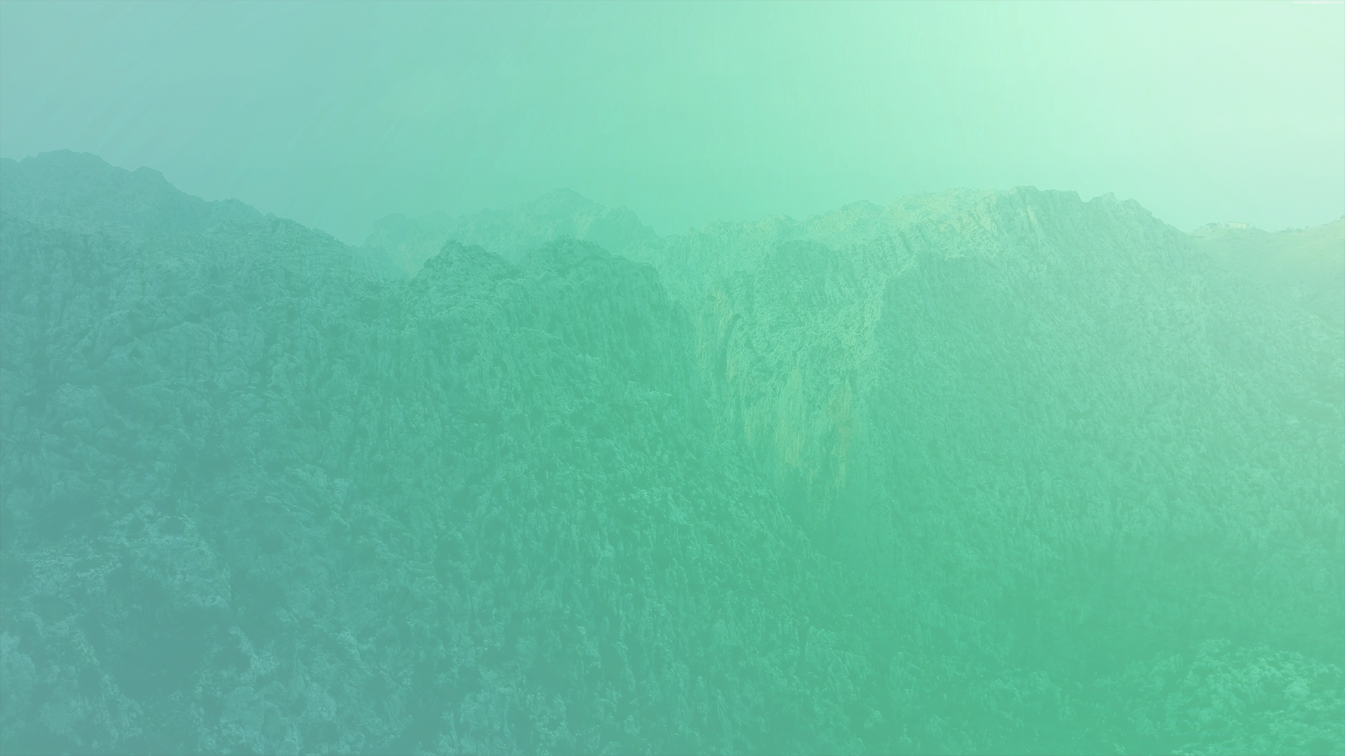 bg.png